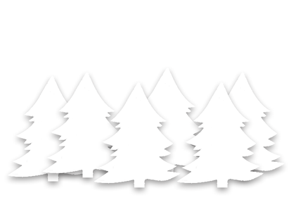 Frohe Festtage wünscht Ingenieurbüro Spieth